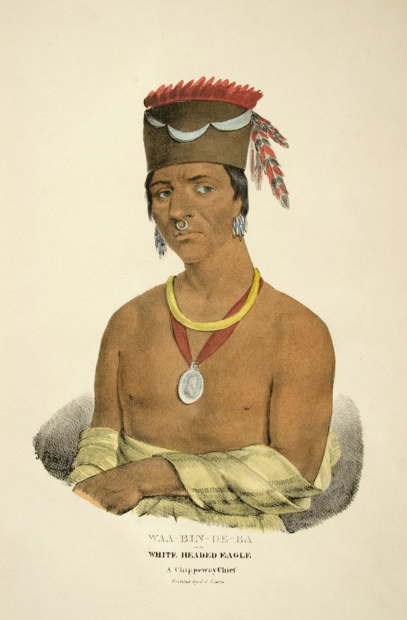 Waa-bin-de-ba or the White Headed Eagle by James Otto Lewis