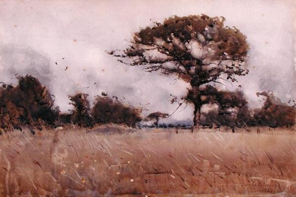 Wind by James Paterson