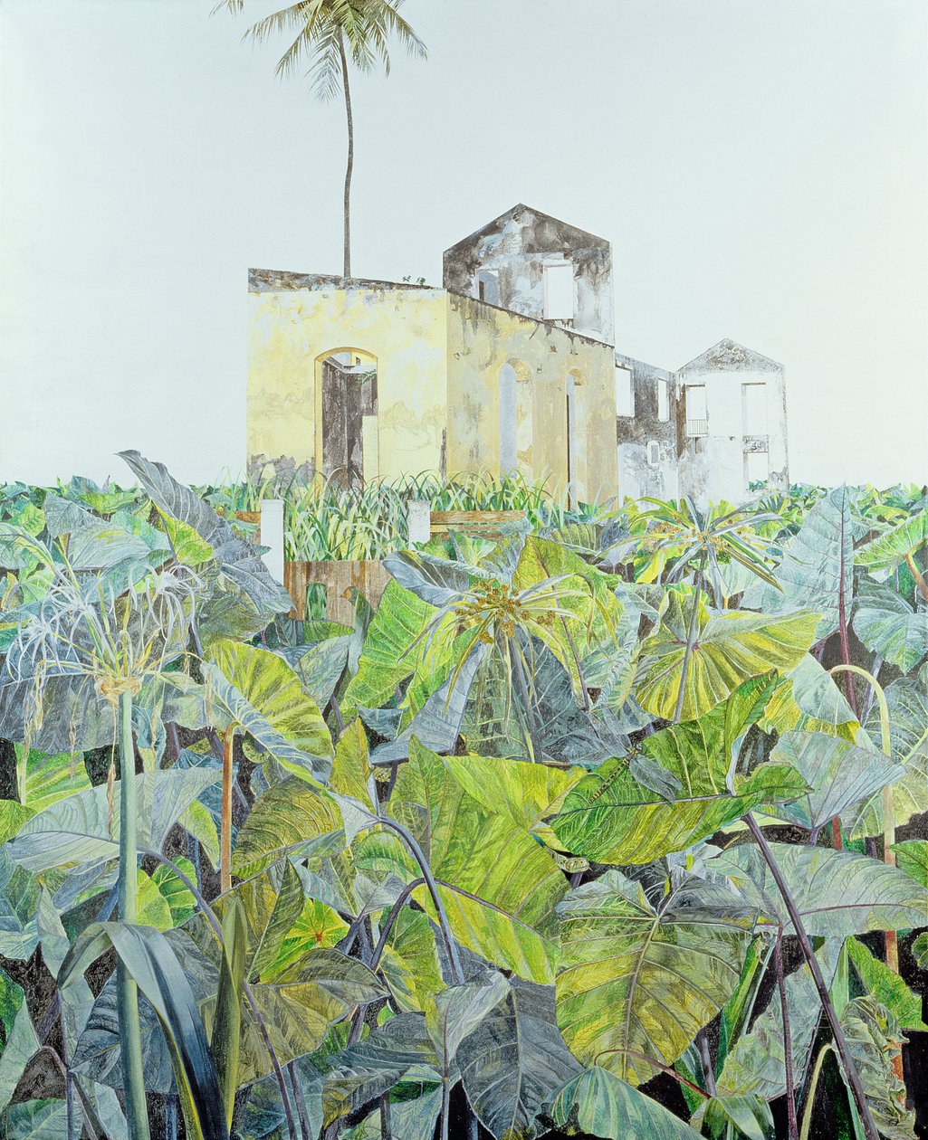 Ruin in a Swamp, Haiti by James Reeve: Buy fine art prints