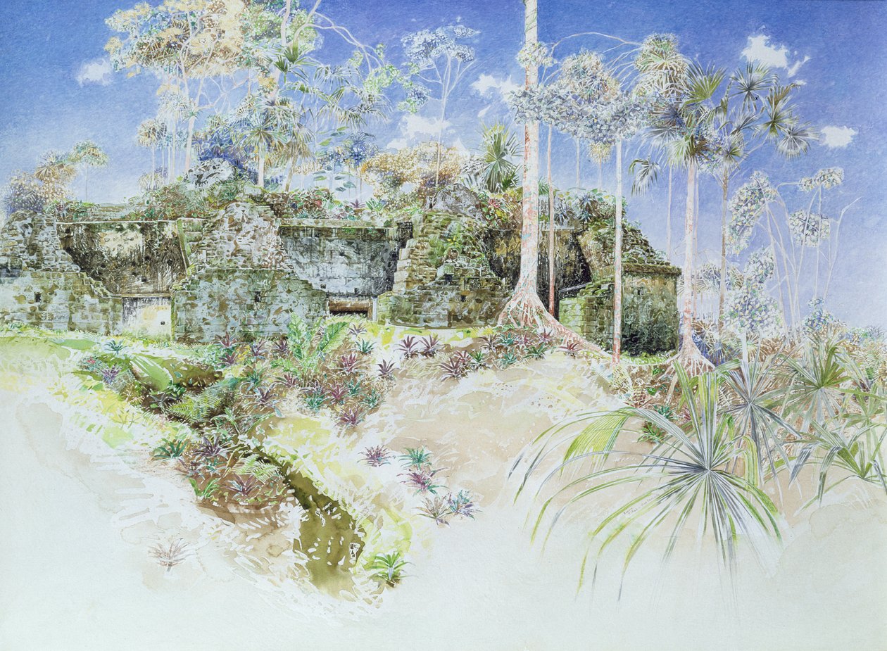 Ruined Temple, Tikal, Guatemala, 1984 by James Reeve