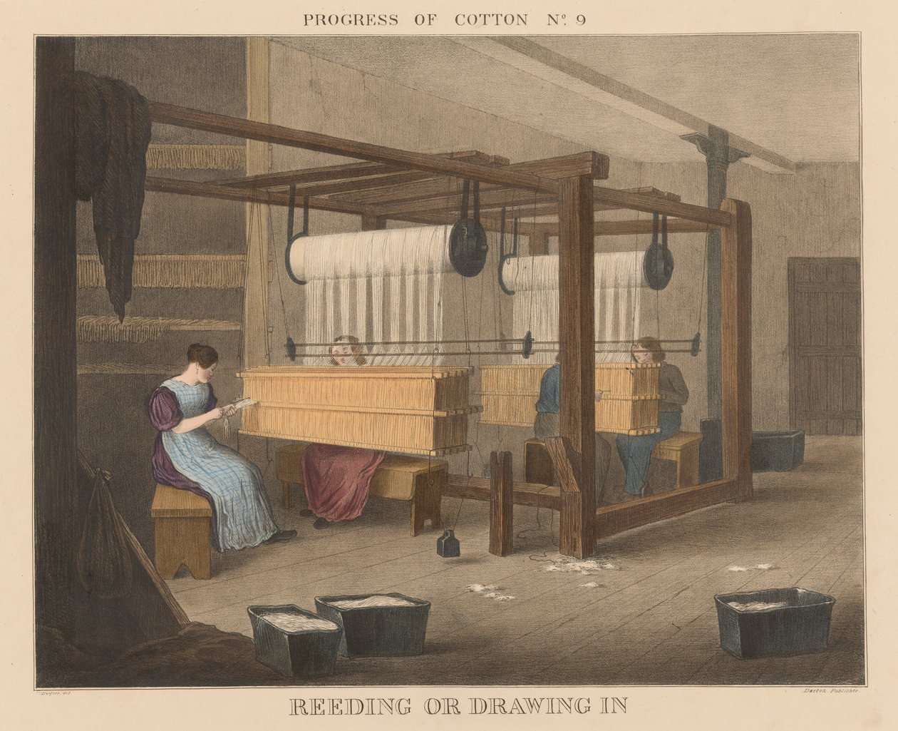Progress of Cotton: #9 - Reeding or Drawing In by James Richard Barfoot