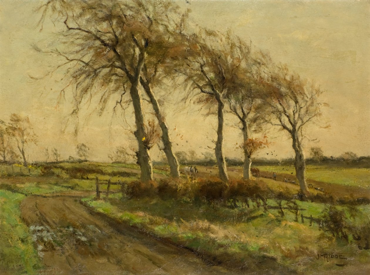 An Open Day in Winter by James Riddel