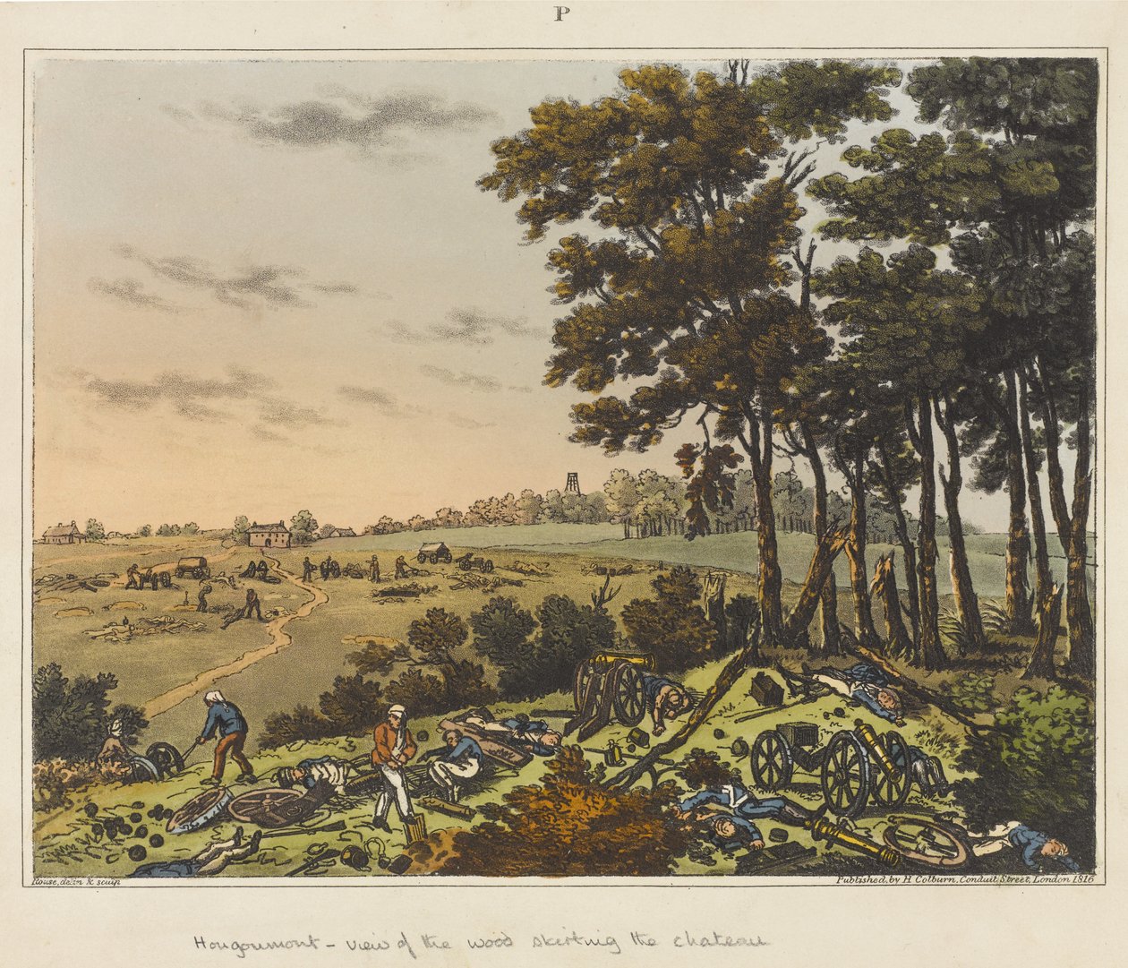 Hougoumont - view of the wood skirting the chateau, from 