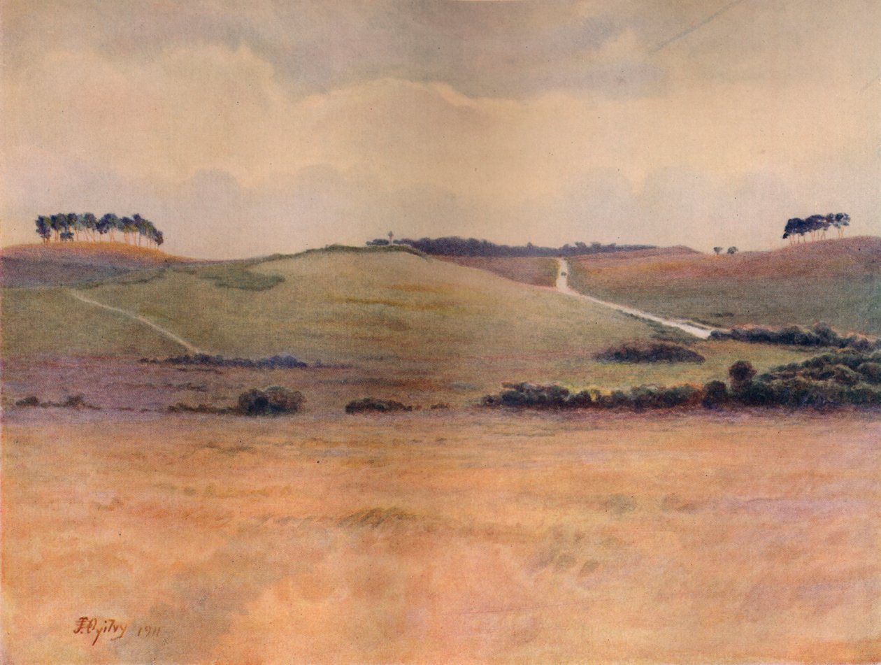 Chobham Common, 1911 by James S Ogilvy: Buy fine art print