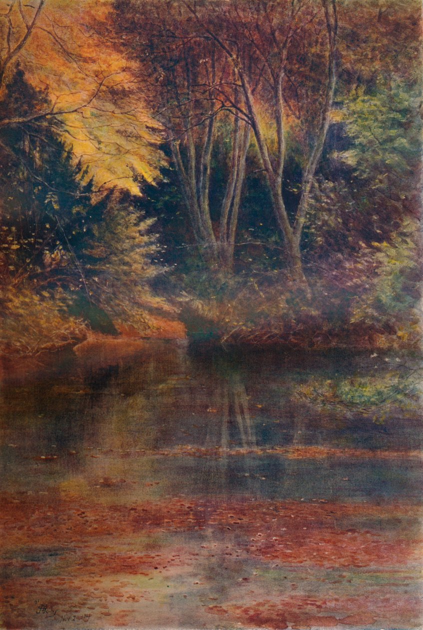 The Silent Pool by James S Ogilvy