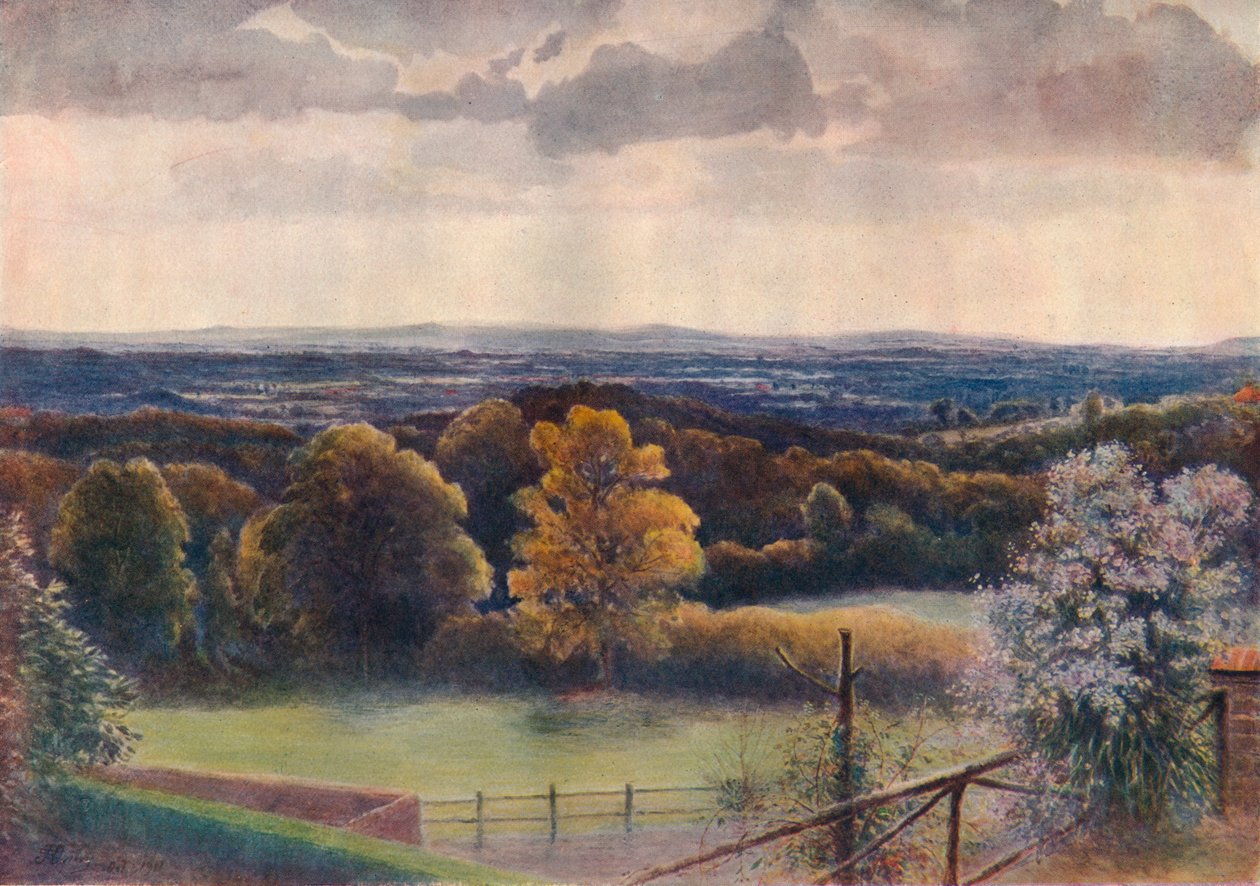 View from Coneyhurst Hill, Ewehurst by James S Ogilvy