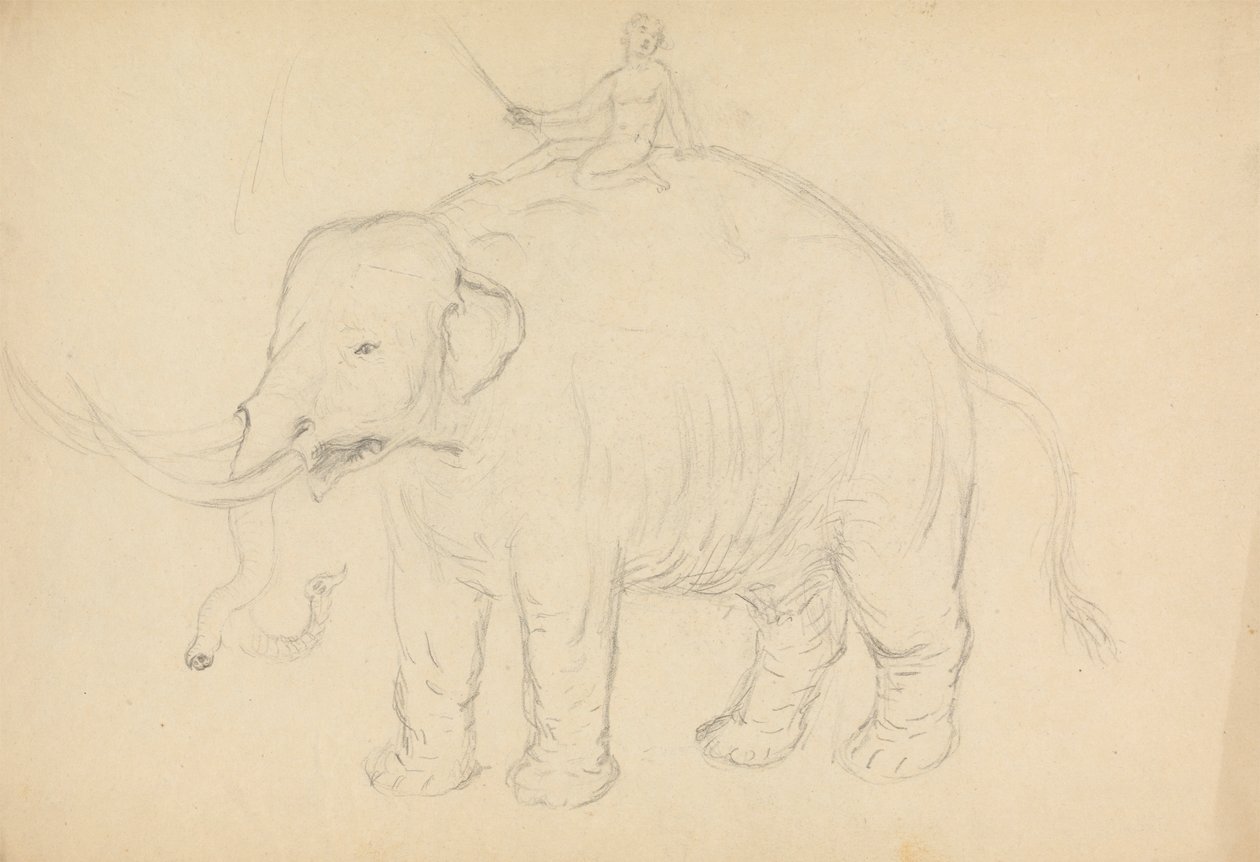 Elephant with Rider by James Sowerby