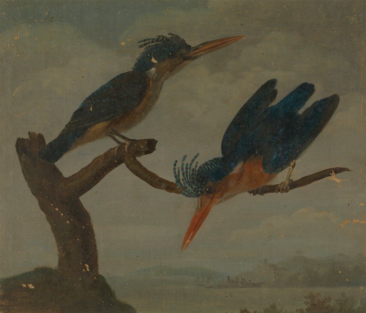Two Kingfishers beside a Lake by James Sowerby