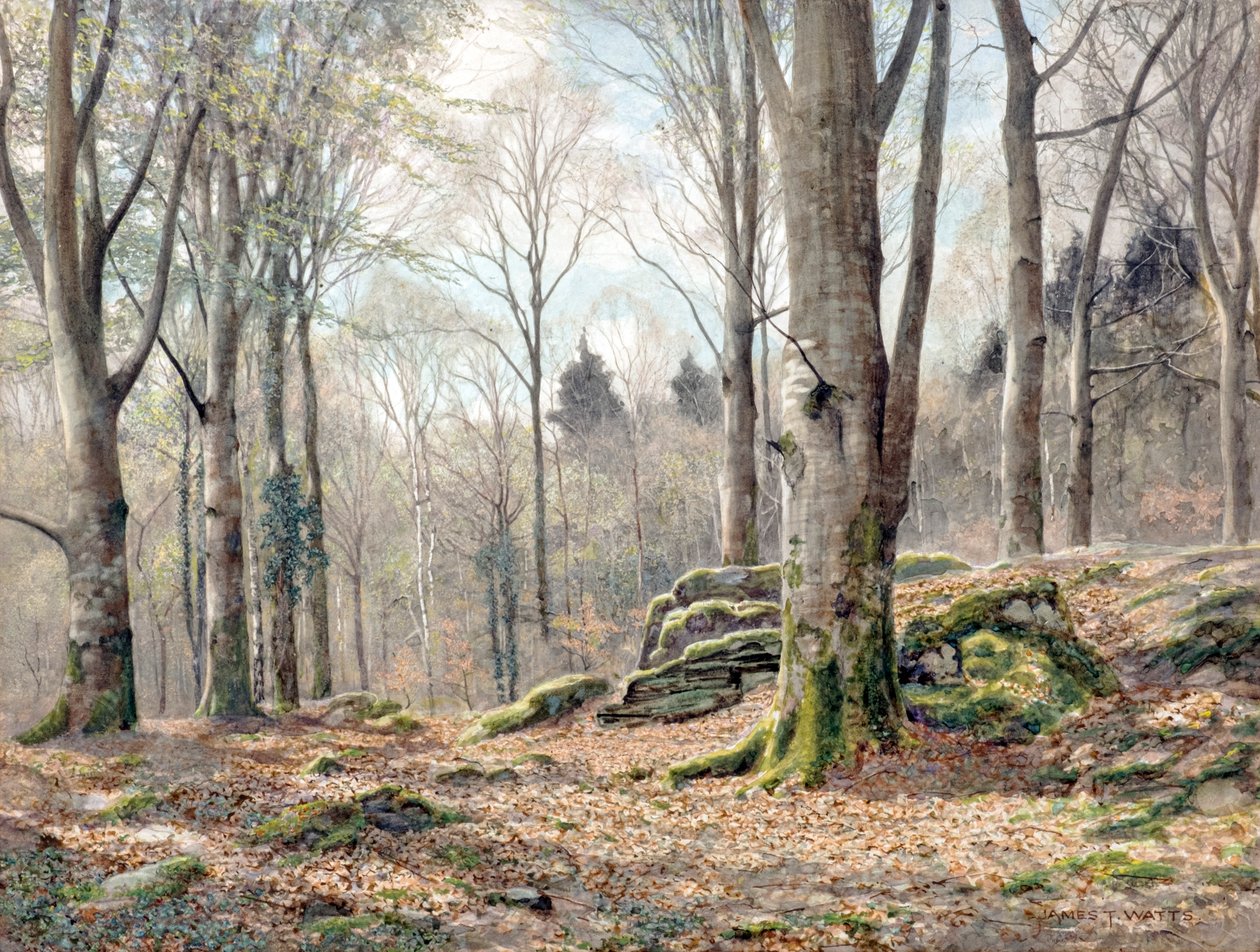 A Welsh Wood by James Thomas Watts