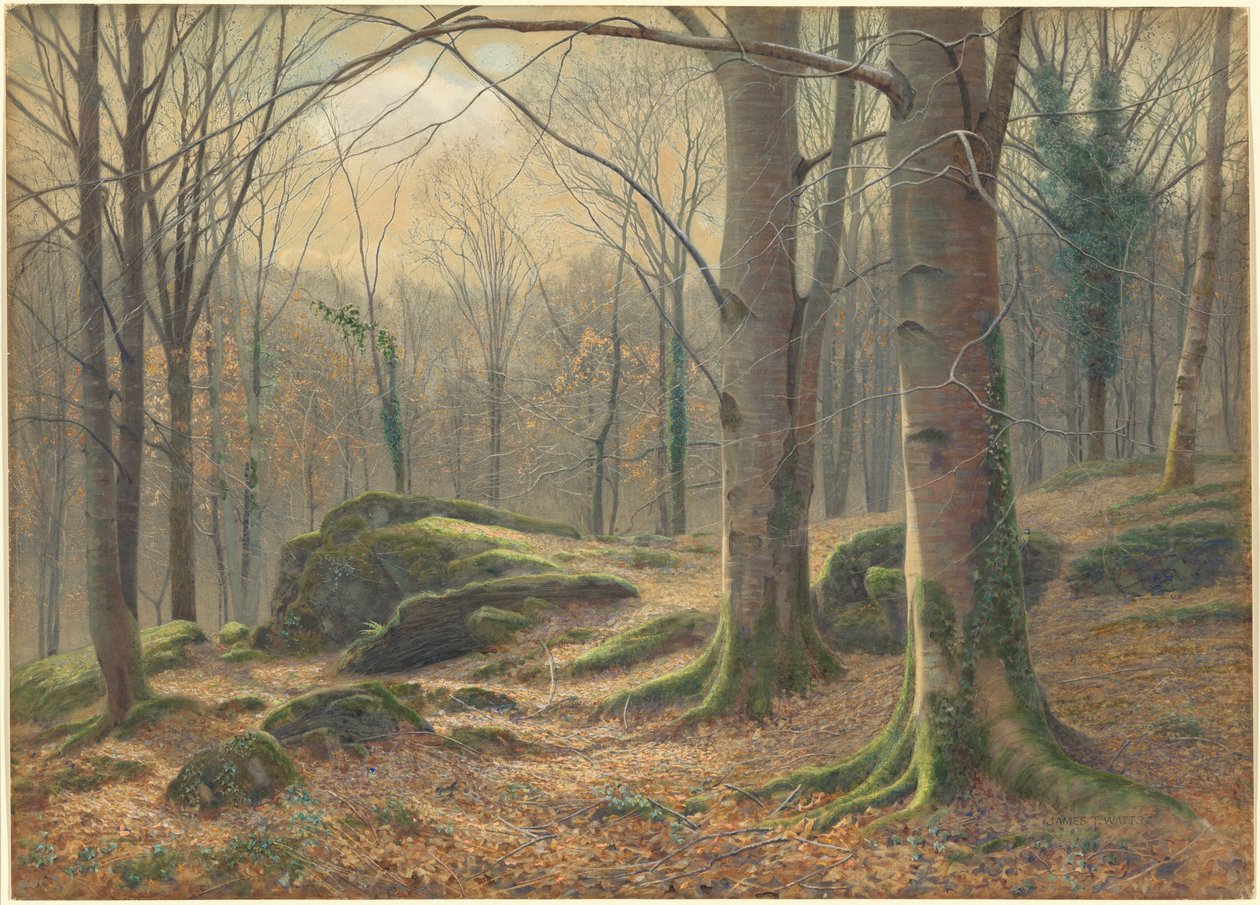 A Winter Morning, Hoar Frost Melting by James Thomas Watts