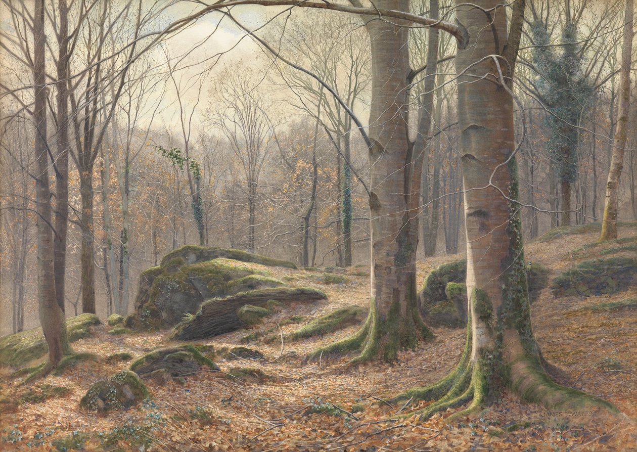 A Winter Morning, Hoar Frost Melting, 1885-1894 by James Thomas Watts