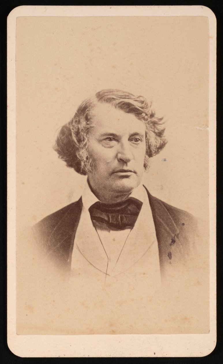 Portrait of Charles Sumner 1811-1874, Before 1874 by James Wallace Black