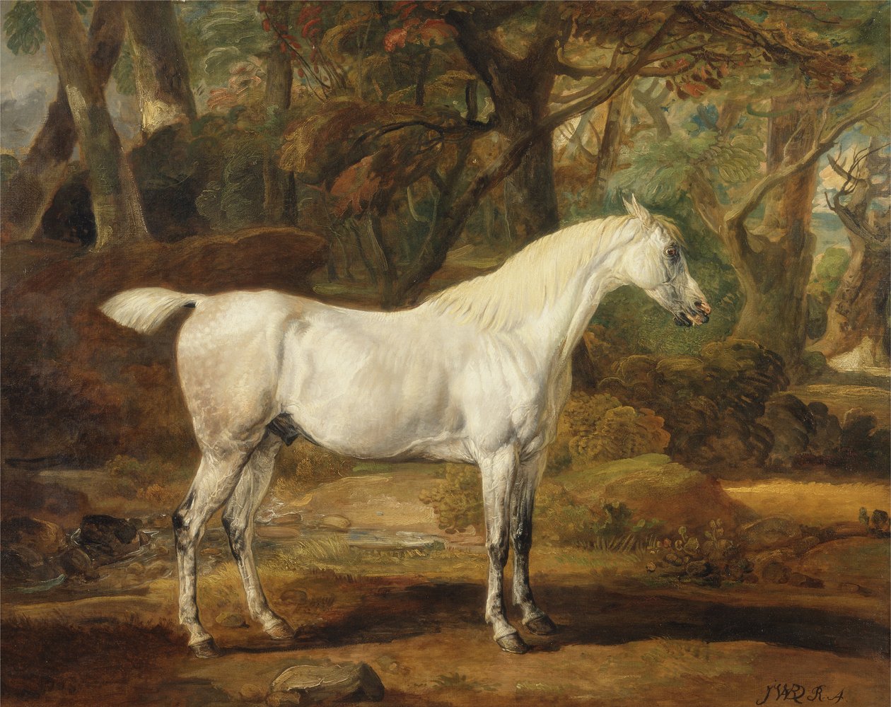 A Grey Arabian Stallion, the Property of Sir Watkin Williams-Wynn, c.1815-20 by James Ward