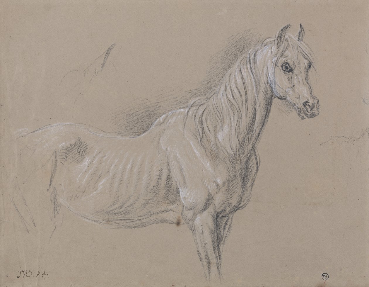 A Mare by James Ward