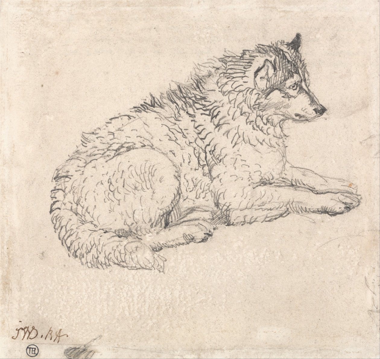 Arctic Dog, Facing Right by James Ward