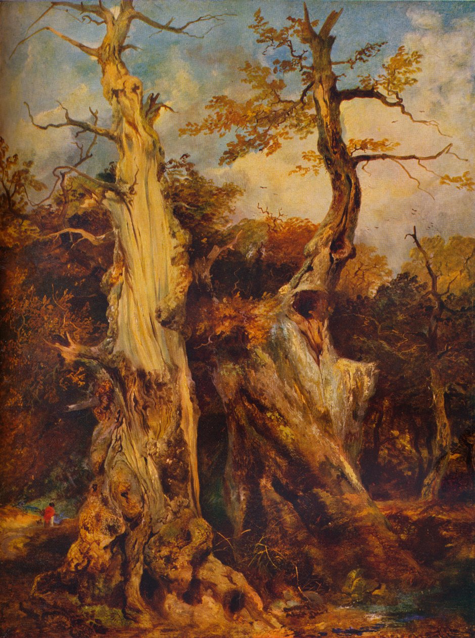 In the Forest by James Ward