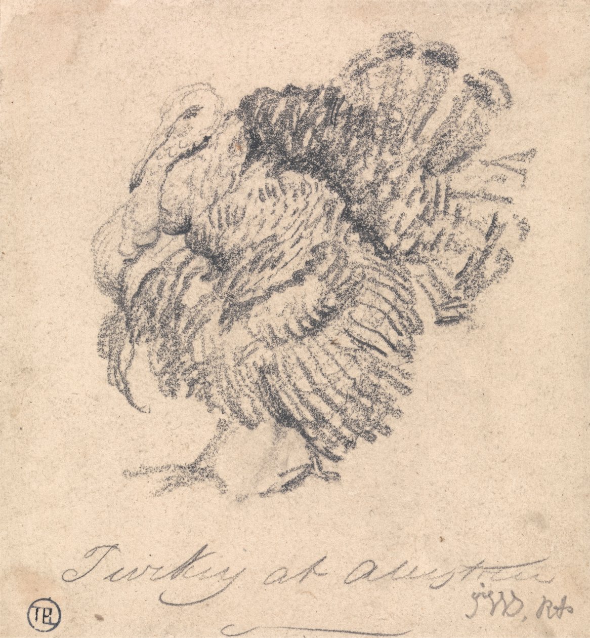 Study of a Turkey by James Ward
