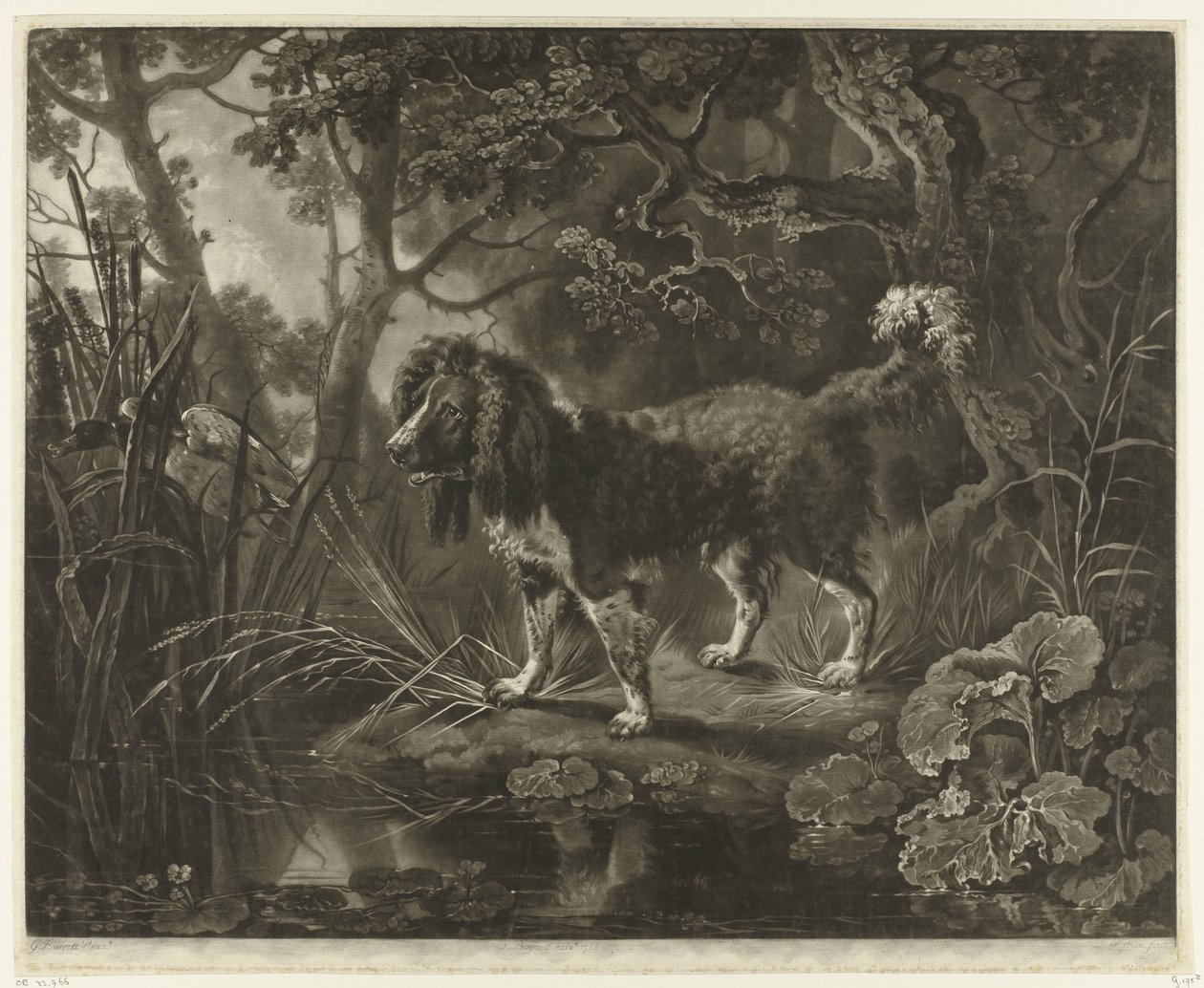 Spaniel by the Waterside Watching a Flying Duck by James Watson (prentmaker)
