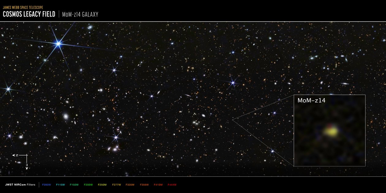 COSMOS Field MoM-z14 Galaxy by James Webb Space Telescope (NASA)