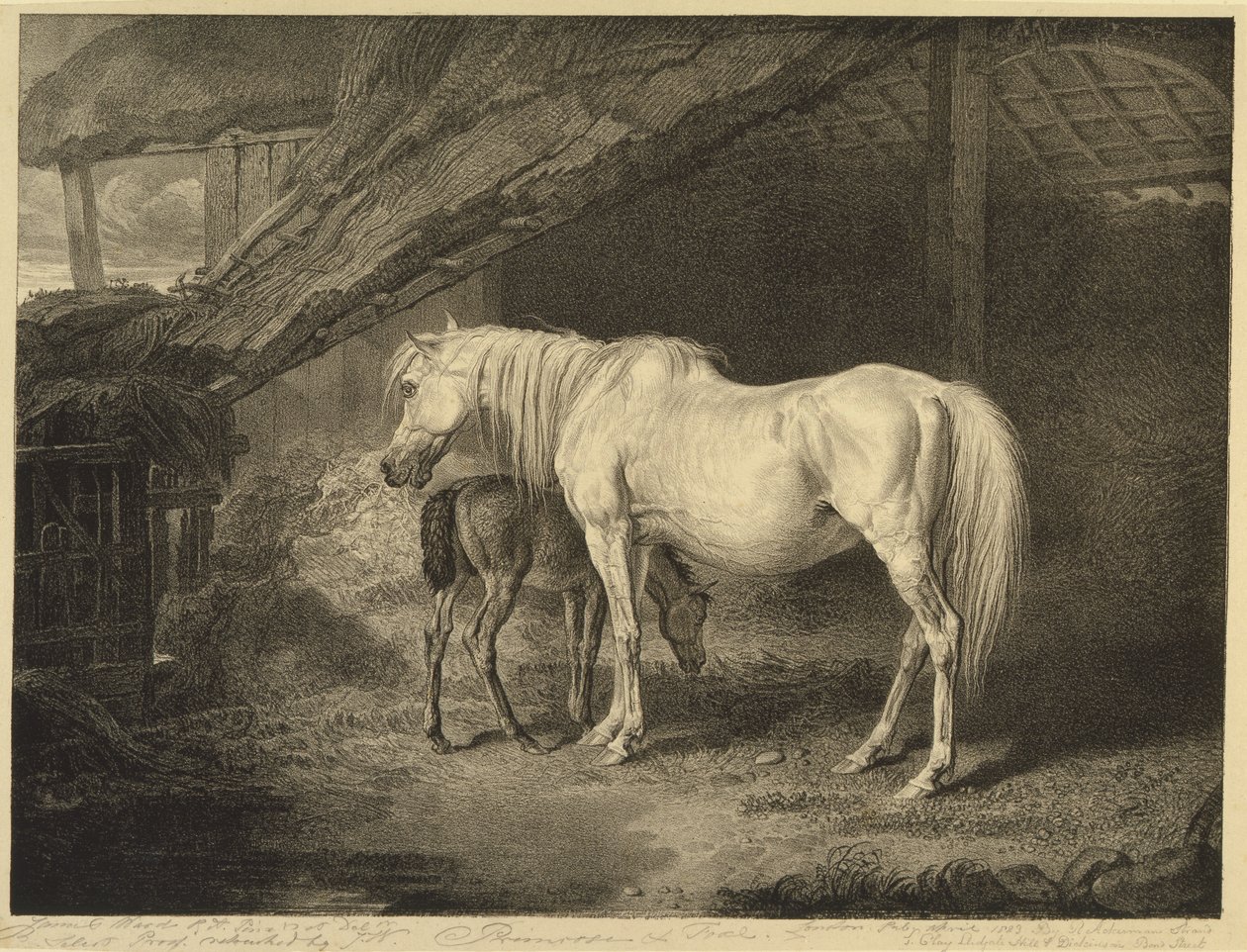 Primrose and Foal, from Celebrated Horses, a set of fourteen racing prints published by the artist, 1823-24 by James after Ward