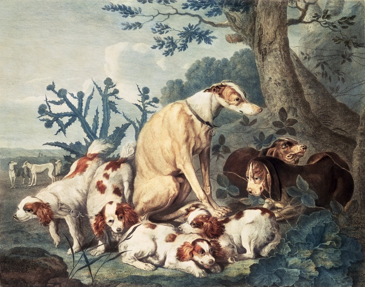 Portraits of Dogs, Engraved by Daniel Lerpiniere, Published by John and Josiah Boydell by Jan Fyt