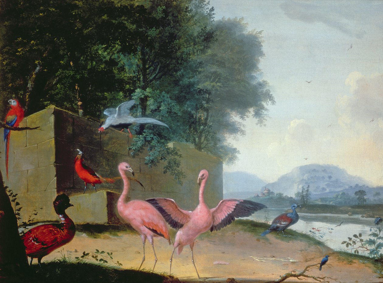 An Assembly of Exotic Birds, Including Flamingoes, Parrots and a Lady Amherst Pheasant by Gerrit van Honthorst