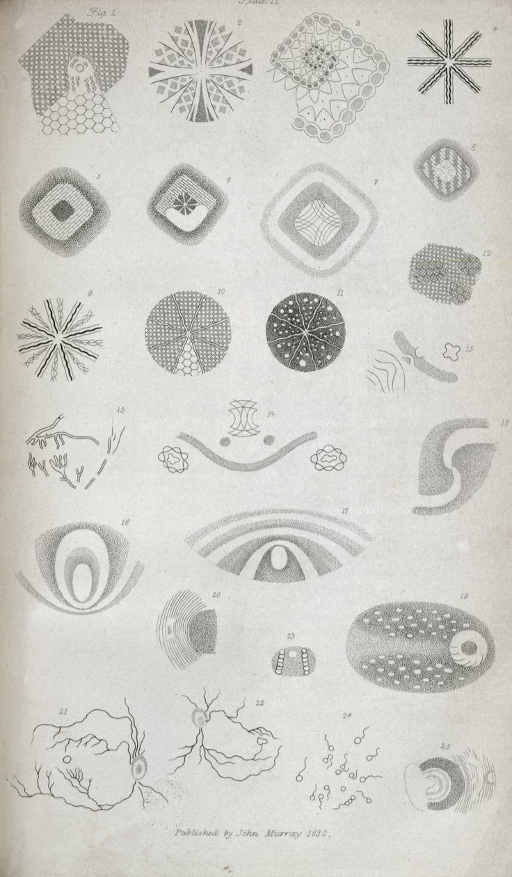 Plate II from 