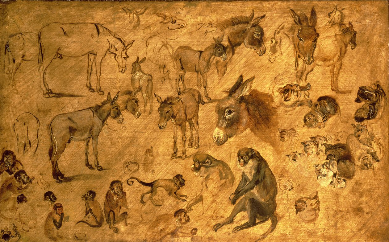 Study of Donkeys, Kittens and Monkeys by Jan the Elder Brueghel