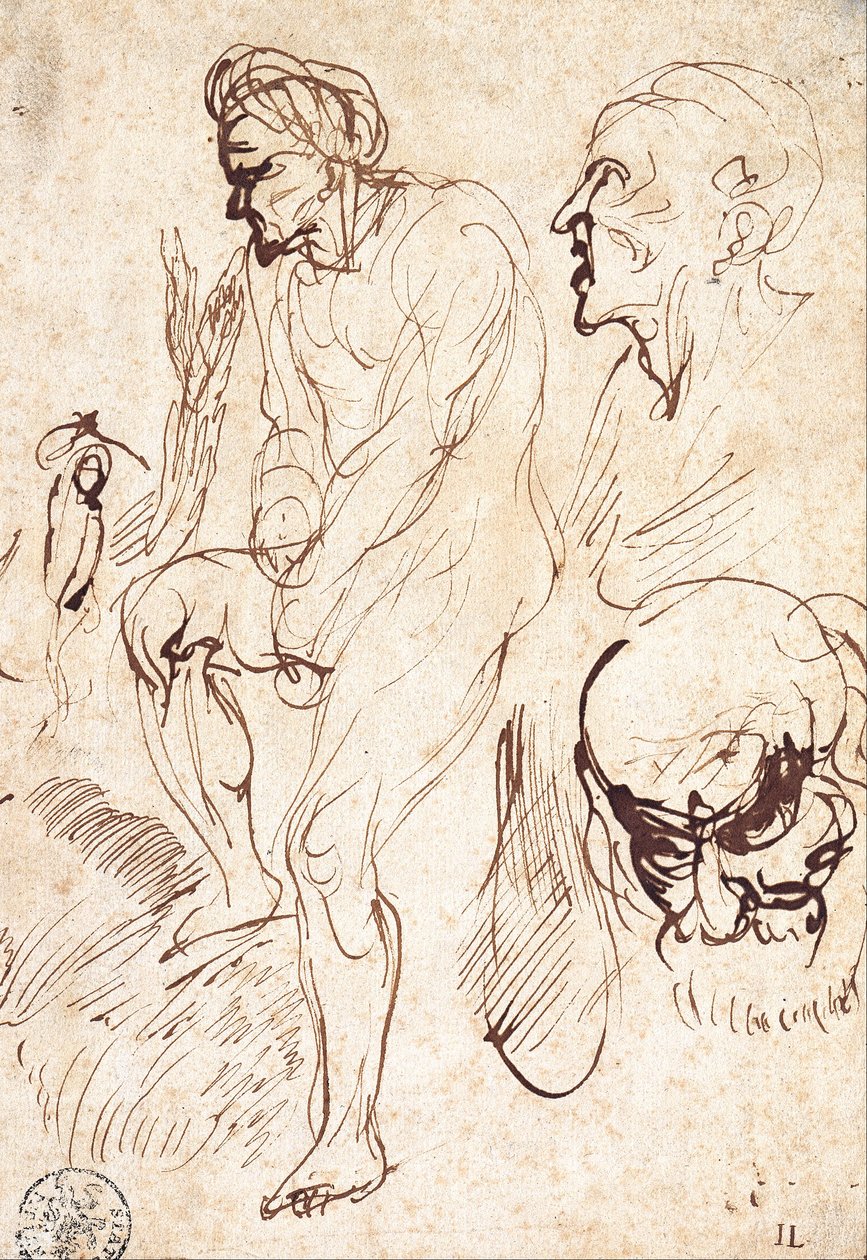 Studies after the Model by Jan the Elder Lievens