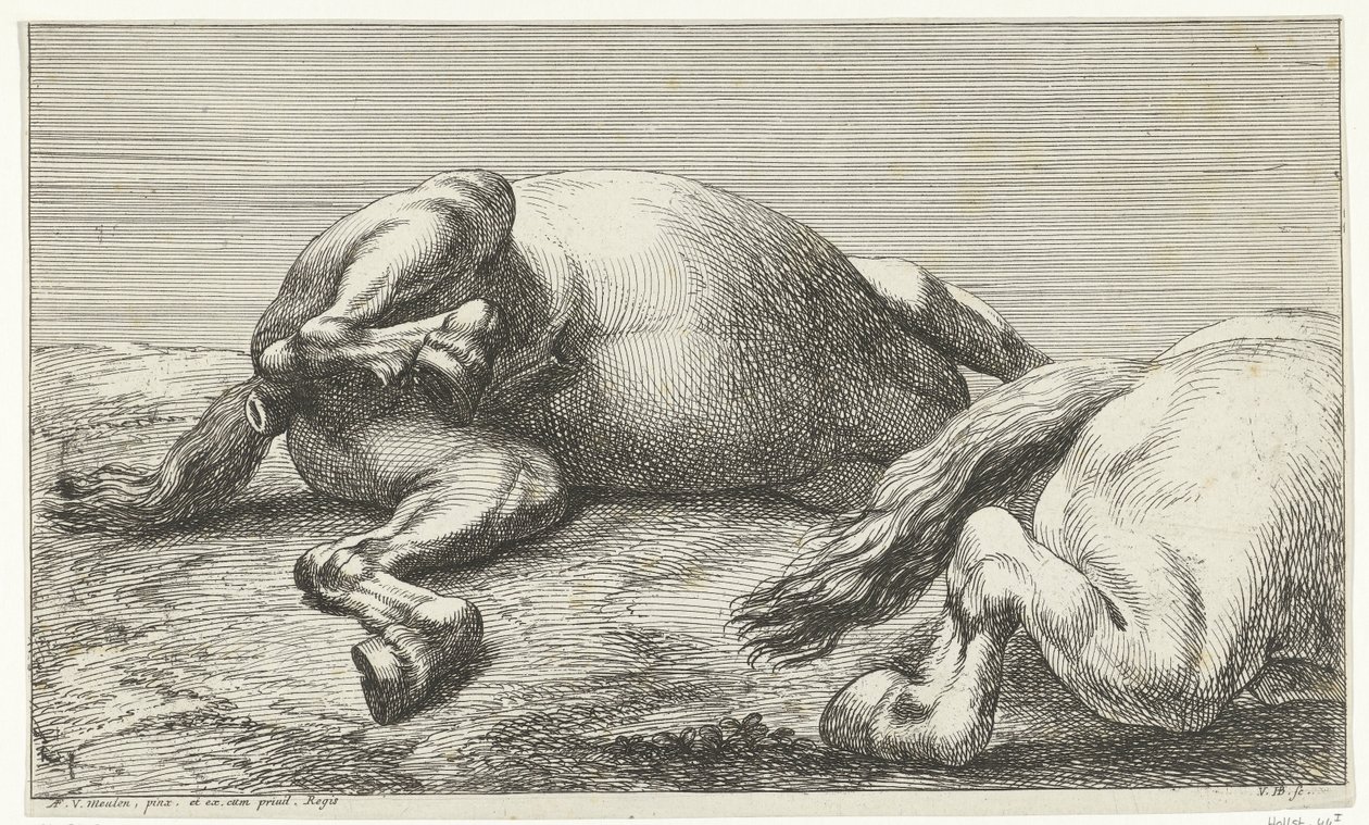 Two Horses Killed in Action Seen from the Left by Jan van Huchtenburgh  