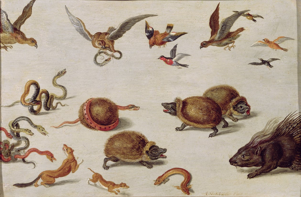 The Enemies of Snakes by Jan van Kessel the Elder