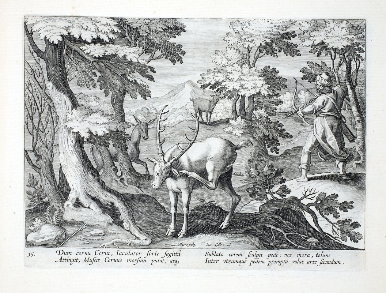 As a deer scratches its antlers with its foot, a hunter, with both feet forward, shoots an arrow through the air, illustration from 