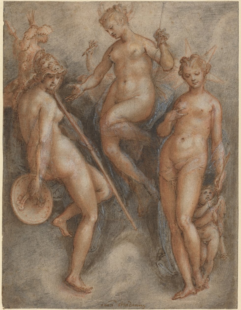 Minerva, Juno and Venus by Jan van der Straet