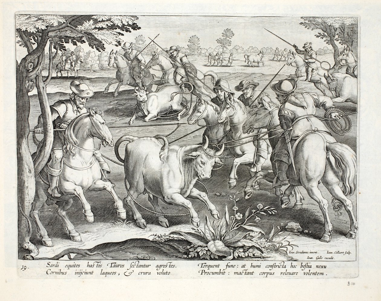Sardinian Horsemen Capture Bulls with Ropes, Illustration from 
