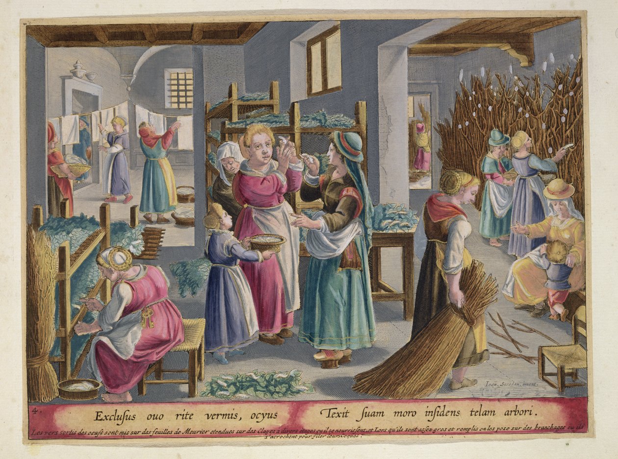 The Eggs Duly Hatch into Worms, they are Covered by Mulberry Leaves and then the Women Place them in Branches to Weave their Cocoons, plate 4 from 