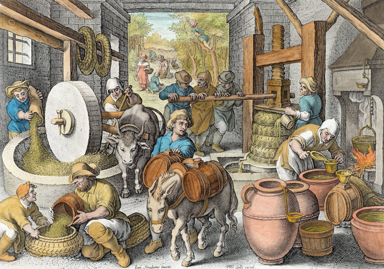 The Production of Olive Oil, plate 13 from 