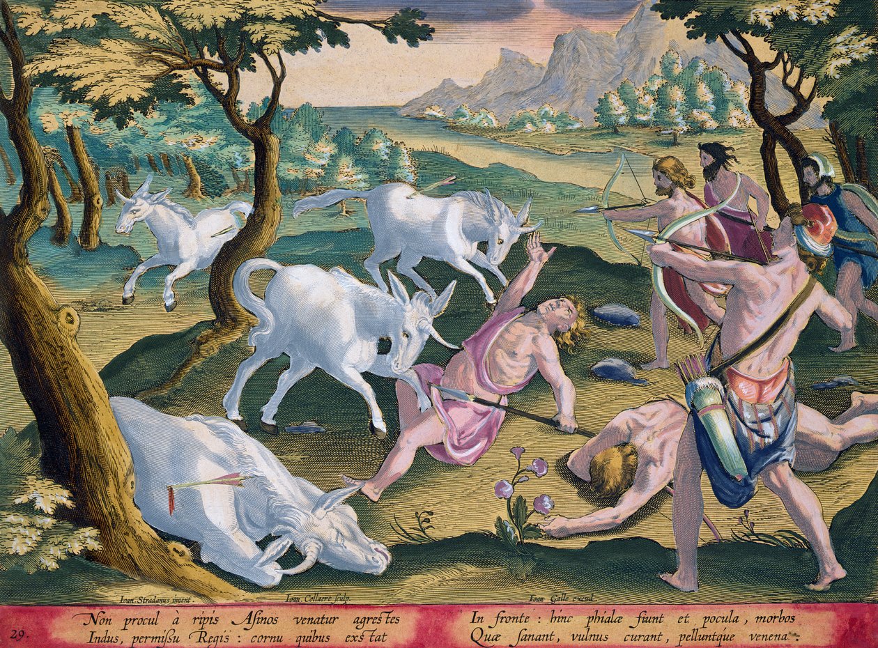 Unicorns on the Banks of the Indus, Hunted by Permission of the King, plate 29 from 
