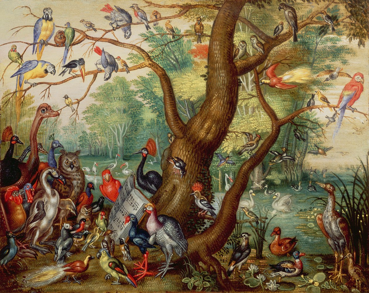 Concert of Birds by Jan van Kessel the Elder