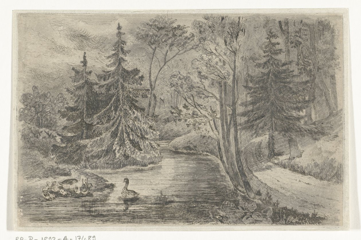 Forest Path by a Pond with Ducks by Jan Bos Wz.