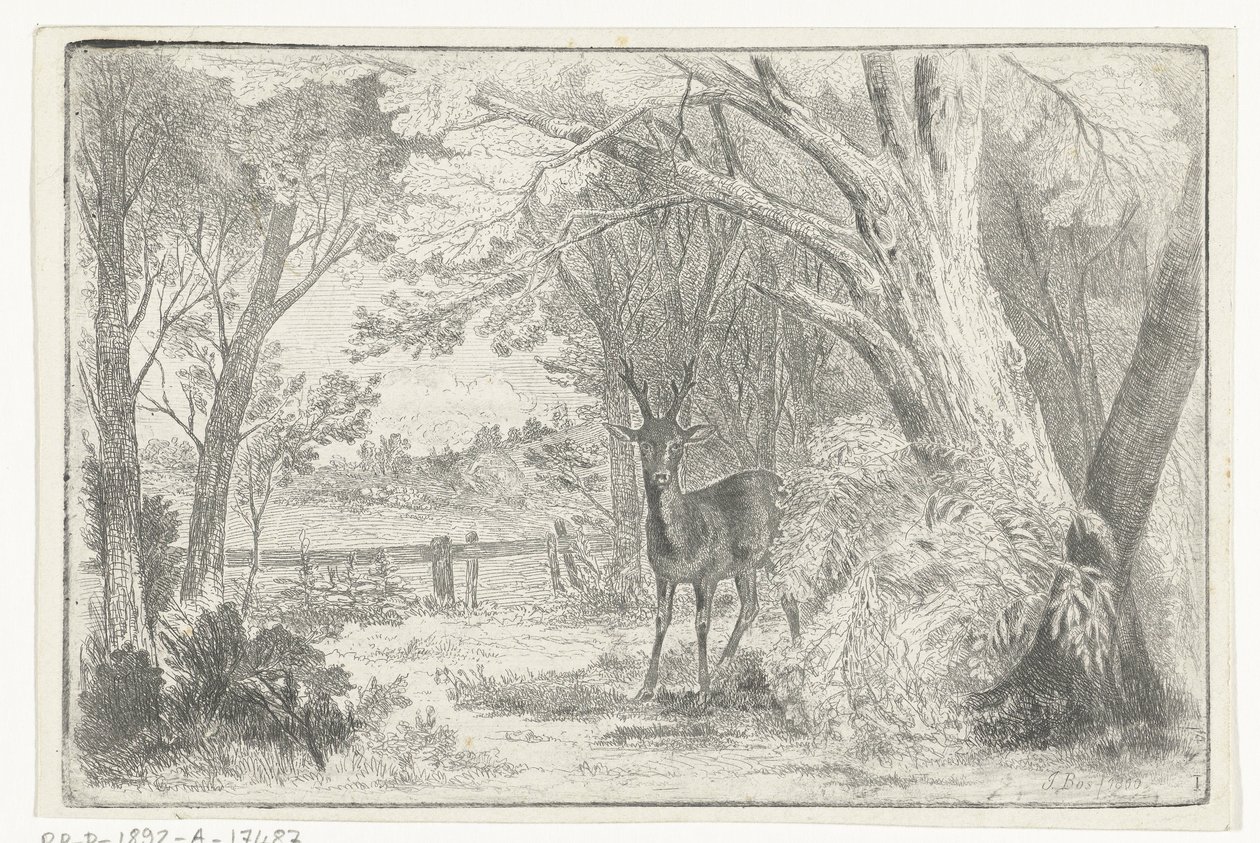 Park Landscape with Deer by Jan Bos Wz.