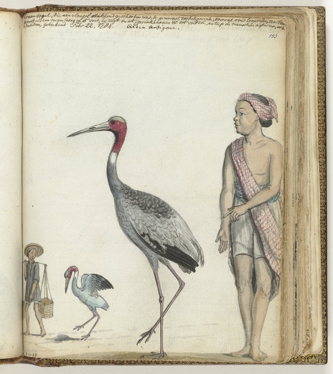 Crane by Jan Brandes