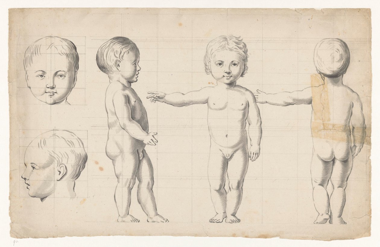 Nude Studies of a Boy by Jan Brandes