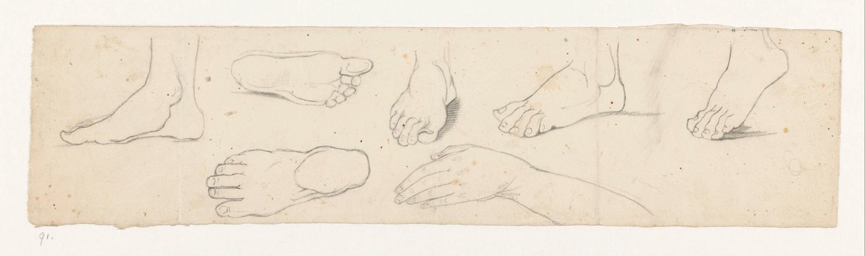 Studies of a Foot by Jan Brandes