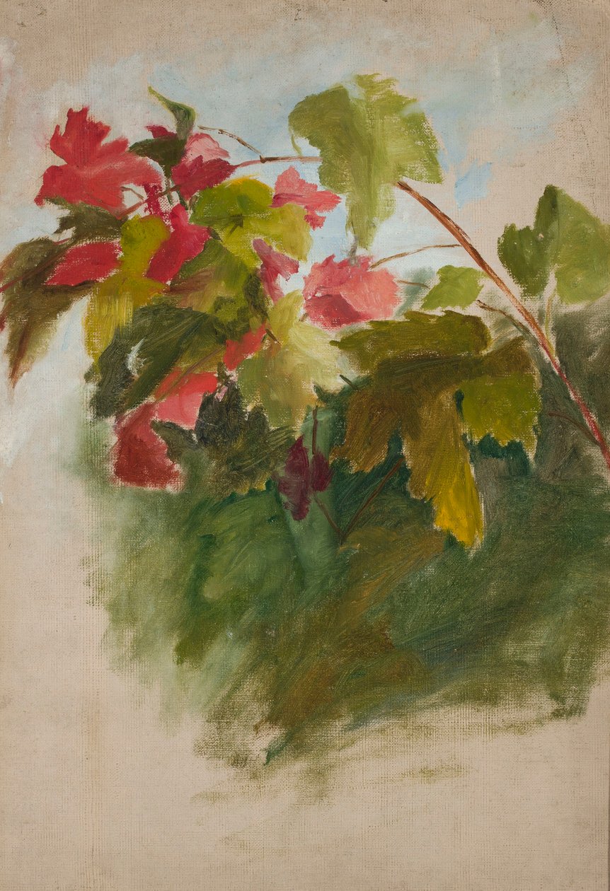 Grape Leaves by Jan Ciągliński