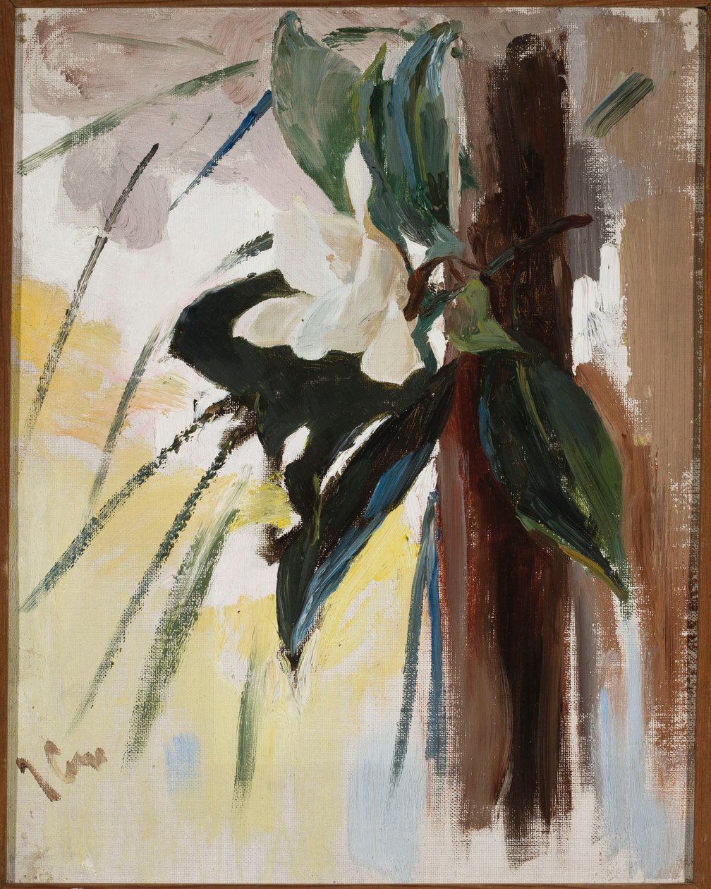 Magnolia by Jan Ciągliński