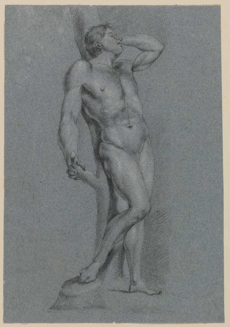 Male Nude, Standing Leaning Against a Tree by Jan Claudius de Cock