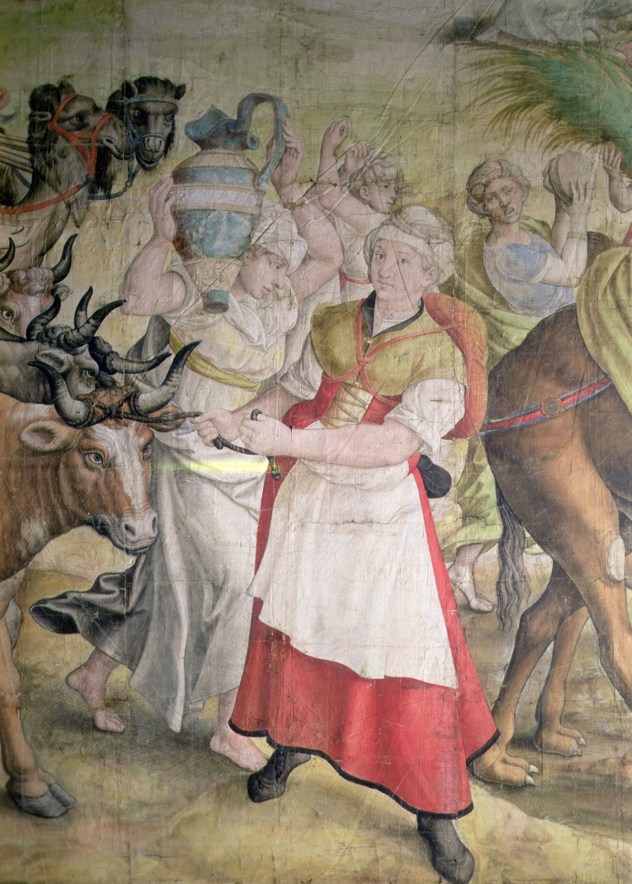 Campaign of Emperor Charles V by Jan Cornelisz Vermeyen
