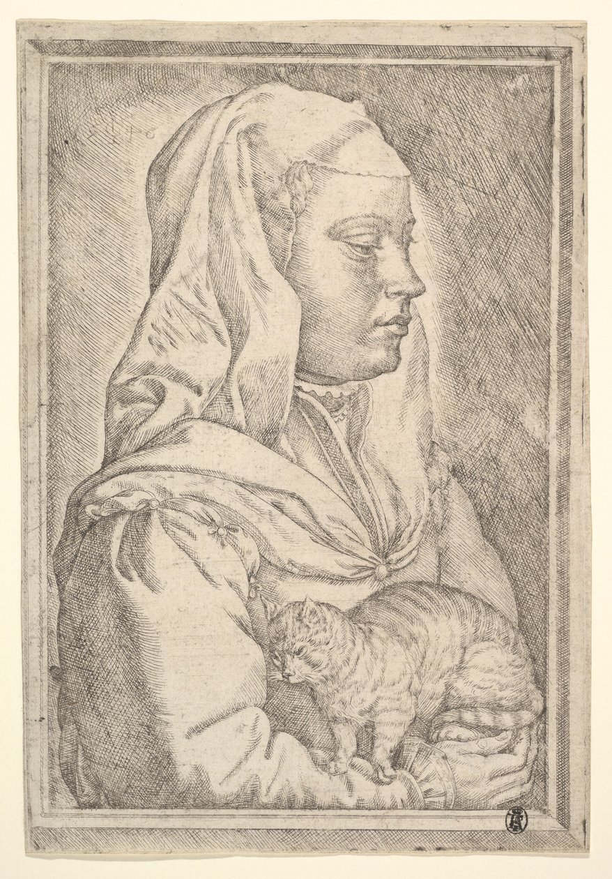 Girl with a Cat, 1546 by Jan Cornelisz Vermeyen