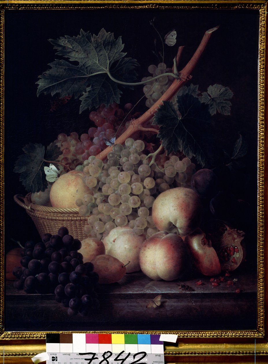 Fruits by Jan Frans van Dael