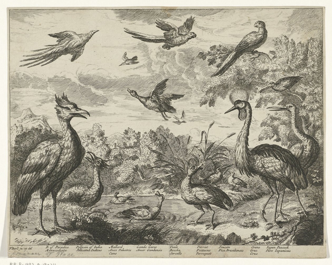 Various Birds in a Landscape by Jan Griffier (I) (copy after)
